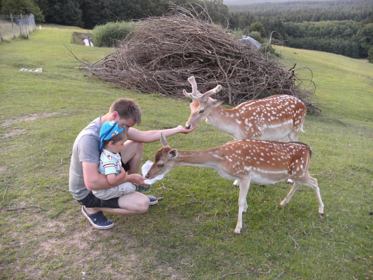 Ferienhäuser zur Schäferei Mitwitz Exterior foto