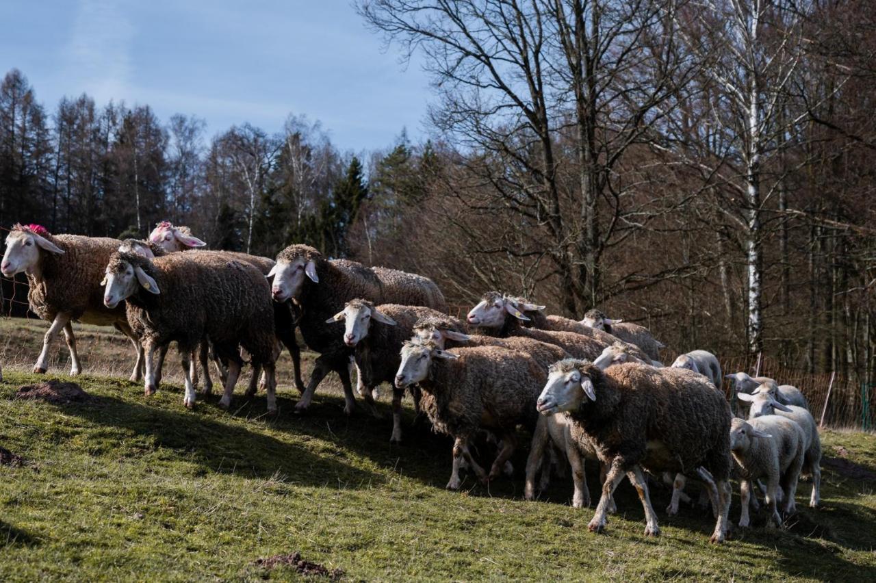 Ferienhäuser zur Schäferei Mitwitz Exterior foto