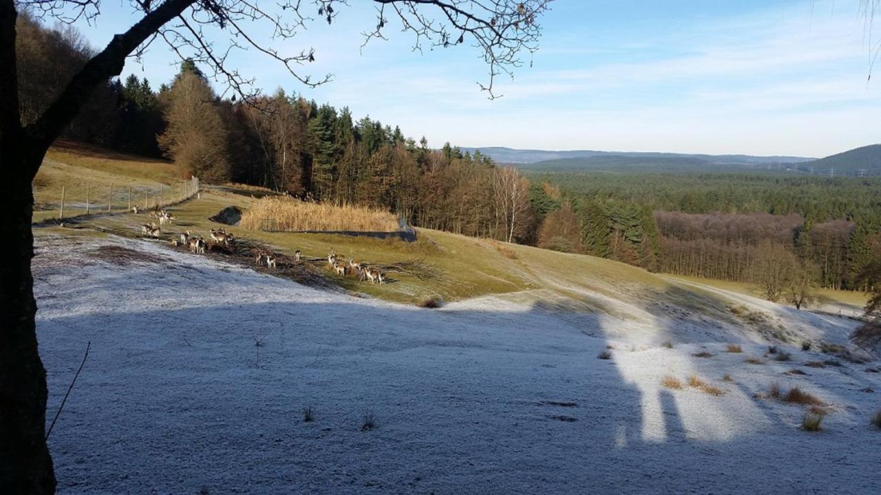 Ferienhäuser zur Schäferei Mitwitz Exterior foto