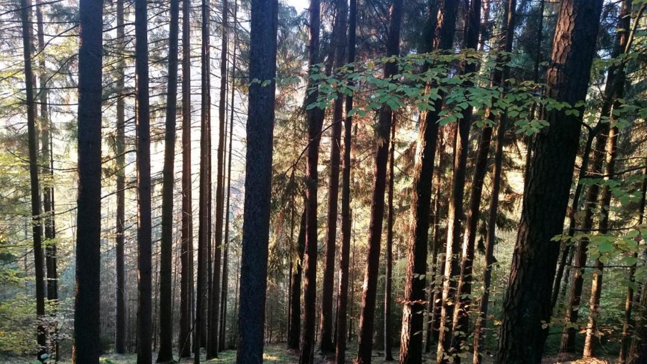 Ferienhäuser zur Schäferei Mitwitz Exterior foto