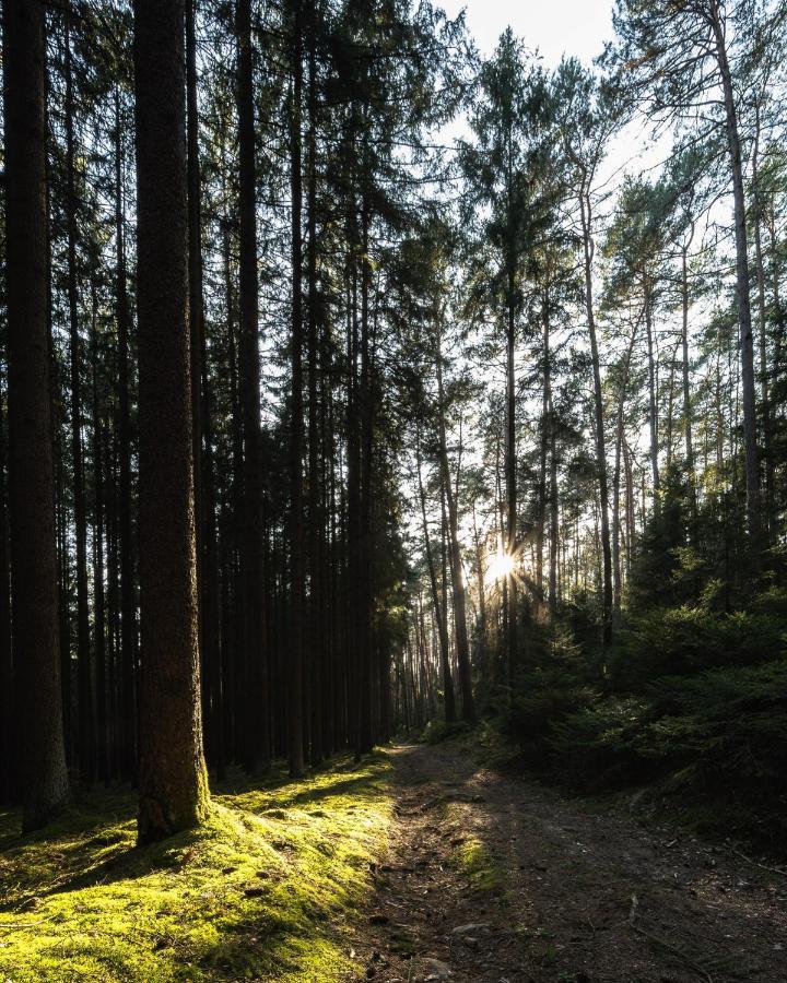 Ferienhäuser zur Schäferei Mitwitz Exterior foto